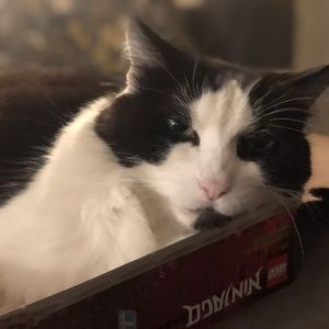 Meet your Posher, June